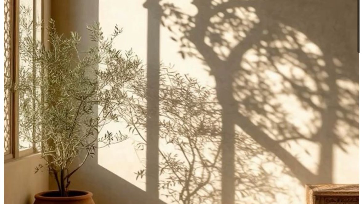 Sunlight and leafy shadows falling through an arch beside a potted plant